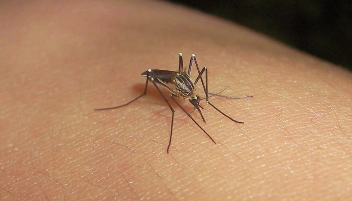 Llegan a tres los casos de zika en Michoacán