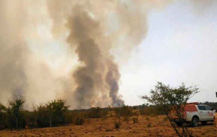 Querían hacer una carne asada y terminaron quemando mil hectáreas  
