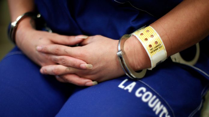  Arrestan a exdirectora judía acusada de 74 casos de pedofilia 