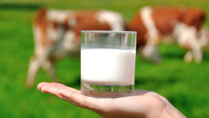 Sin pasteurizar 40% de la leche y sus derivados en México