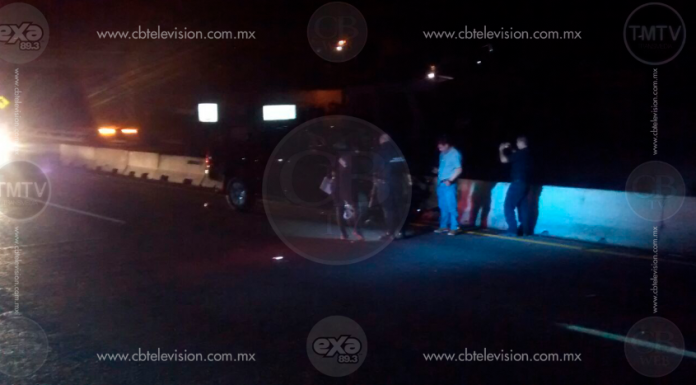Vehículo se impacta en contra de semoviente