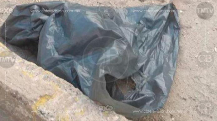 Hallan 2 cuerpos desmembrados y embolsados con narcomensaje para el edil de Sahuayo y el tesorero