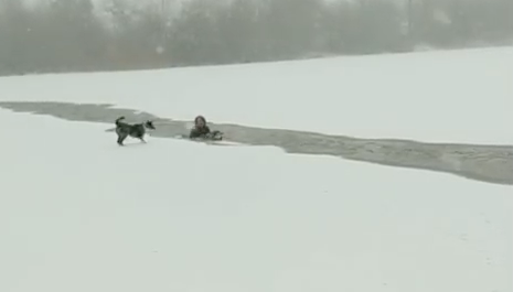 VIDEO: Mujer se lanza a lago congelado para salvar a un perro VIDEO: Mujer se lanza a lago congelado para salvar a un perro