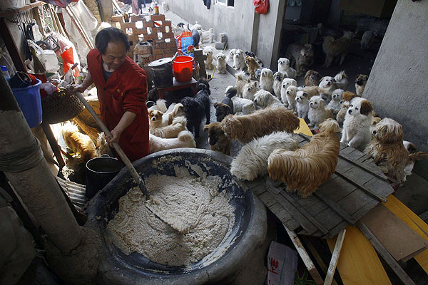Debido a los Juegos Olímpicos, reemplazaron la carne de perro por la de cerdo y las ventas cayeron en Corea del Sur Debido a los Juegos Olímpicos, reemplazaron la carne de perro por la de cerdo y las ventas cayeron en Corea del Sur