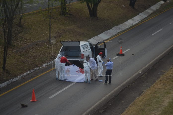 MORELIA Anciano muere arrollado (1)