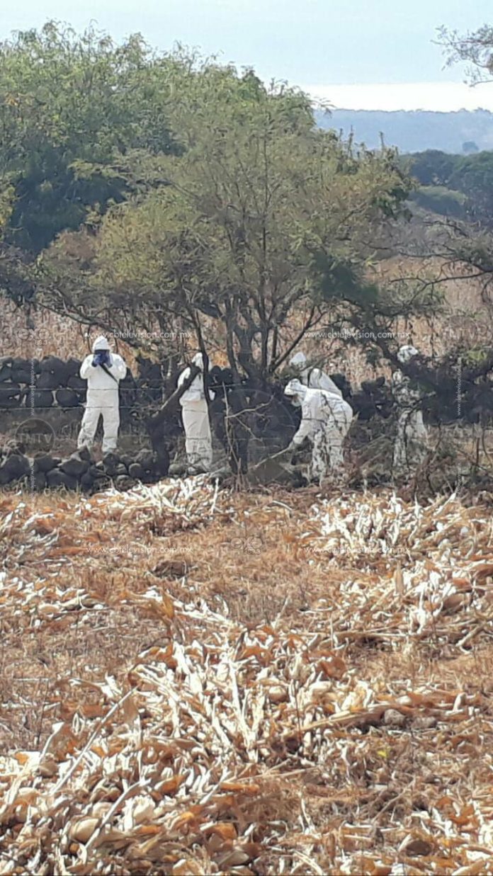 MORELIA Localizan a un hombre muerto en el camino Morelia-Joyitas (1)
