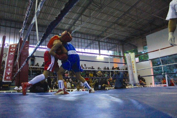 Boxeadores michoacanos pelean por su boleto a Olimpiada
