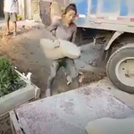 Mujer trabaja como albañil para mantener a sus hijos