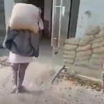 Mujer trabaja como albañil para mantener a sus hijos