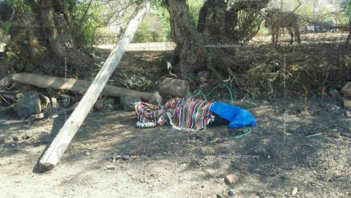CHARO Investigan caso de ahorcado en Charo (2)