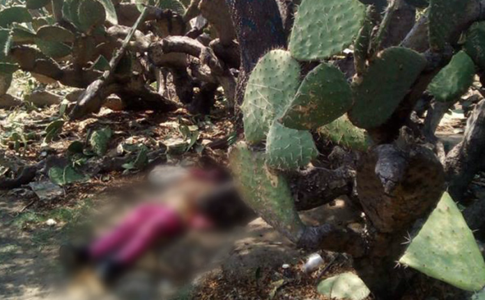 Joven es degollada en Edomex; suman 60 feminicidios, en apenas tres meses de 2018