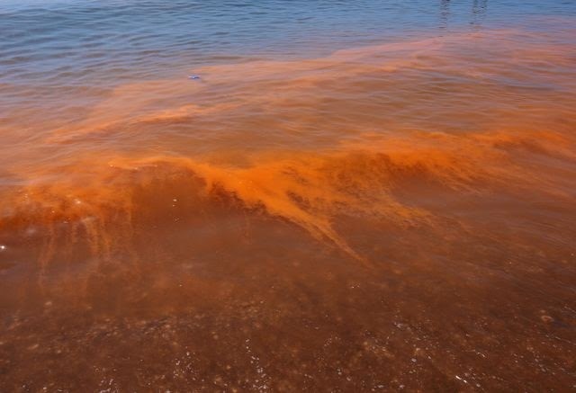 Refuerza SSM Operativo de Cuaresma Refuerza SSM Operativo de Cuaresma