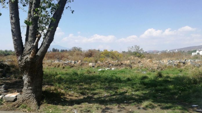 Vecinos de la colonia López Mateos exigen limpieza en lote baldío