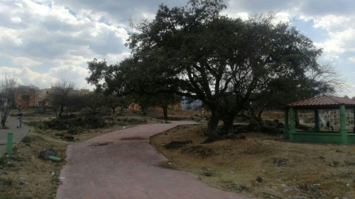 Vecinos de Villas del Pedregal piden alumbrado público