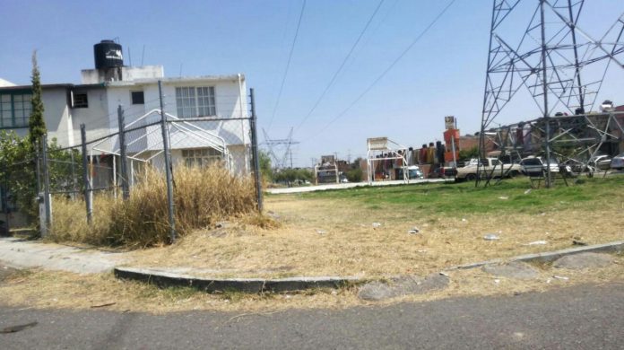 Vecinos piden limpiar áreas verdes en fraccionamiento Mariano Abasolo