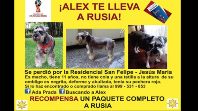 Perro se pierde y su familia ofrece un viaje al Mundial de Rusia de recompensa