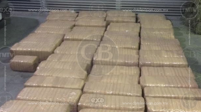 Militares aseguran 800 kilos de marihuana en Zamora