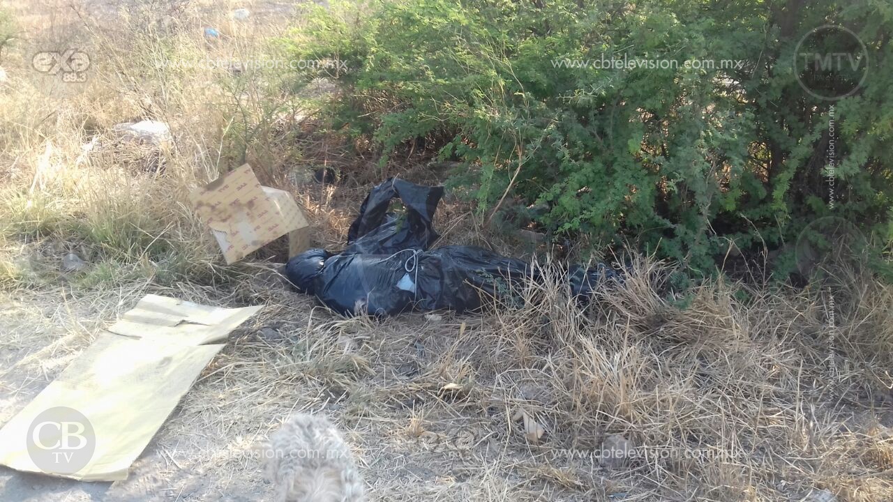 Localizan un embolsado en San Juanito Itzícuaro Localizan un embolsado en San Juanito Itzícuaro