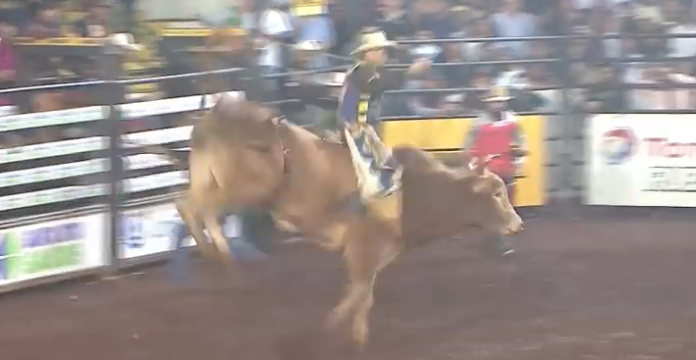 VIDEO: Jinete muere por una patada de toro durante torneo de rodeo