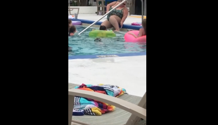 VIDEO: Mujer se depila las piernas en piscina de hotel y limpia el rastrillo con el agua de ahí