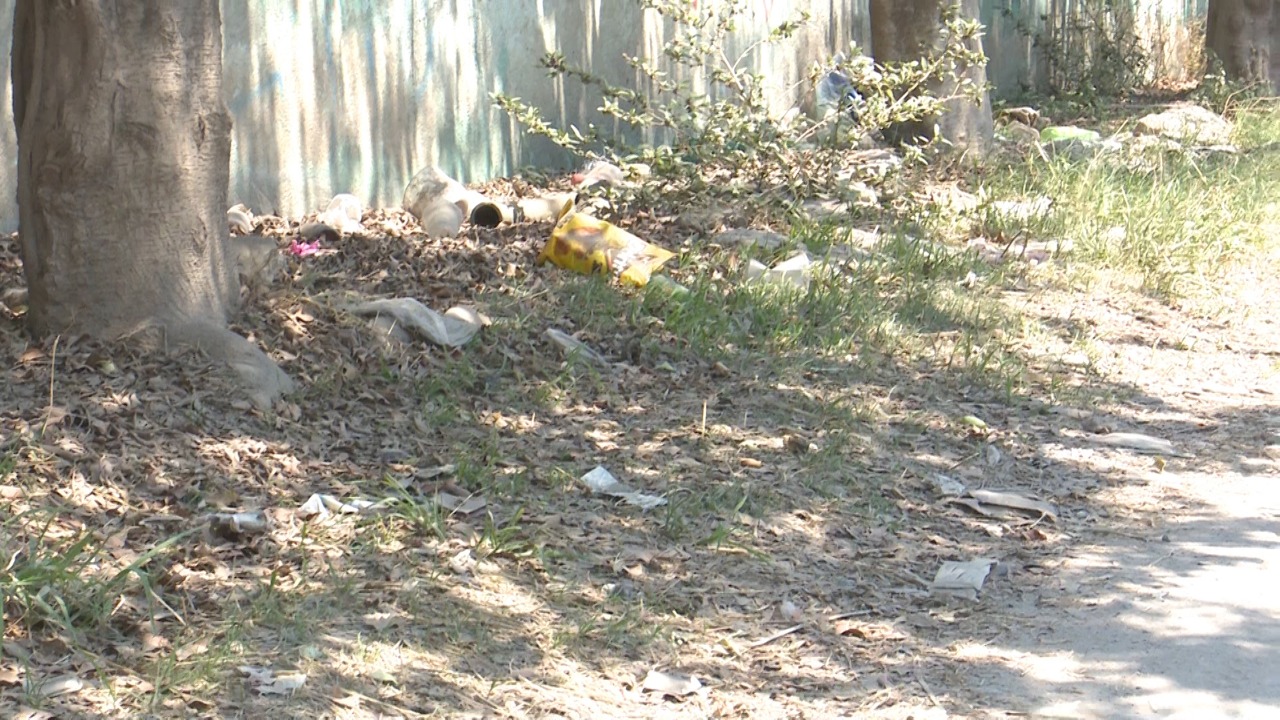 Basura genera diversos conflictos en La Aldea Basura genera diversos conflictos en La Aldea