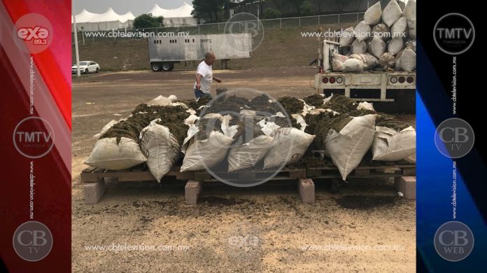 PGR incinera droga decomisada en Michoacán