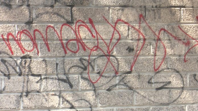 Graffiti vandálico invade la colonia Jacarandas