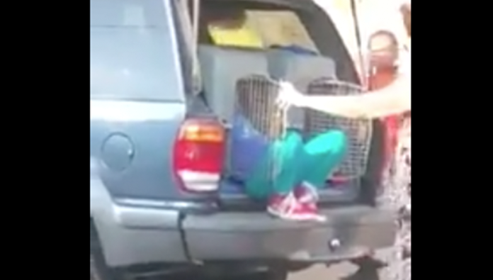 Arrestan a mujer por transportar a niños en jaulas para perros
