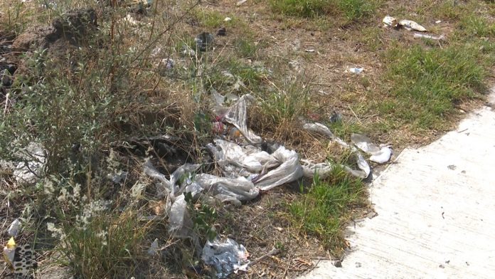 Denuncia Ciudadana: Basura genera fauna nociva en Villa Magna