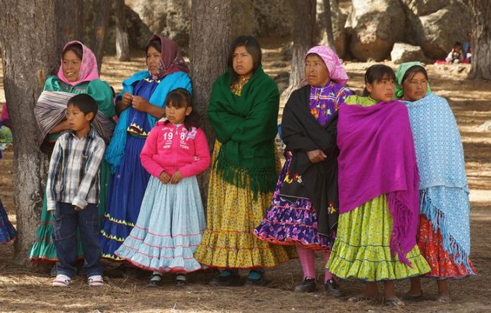 Mujeres indígenas estudiarán inglés en la Universidad de Toronto