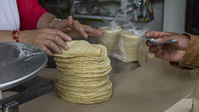 Kilo de tortilla podría llegar a los $20.00 pesos en próximos días, ciudadanos inconformes