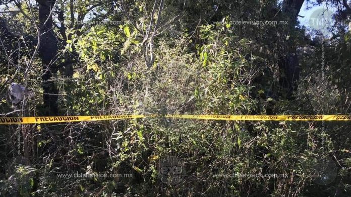 Hallan fosas clandestinas en Coeneo; sacan varios cadáveres