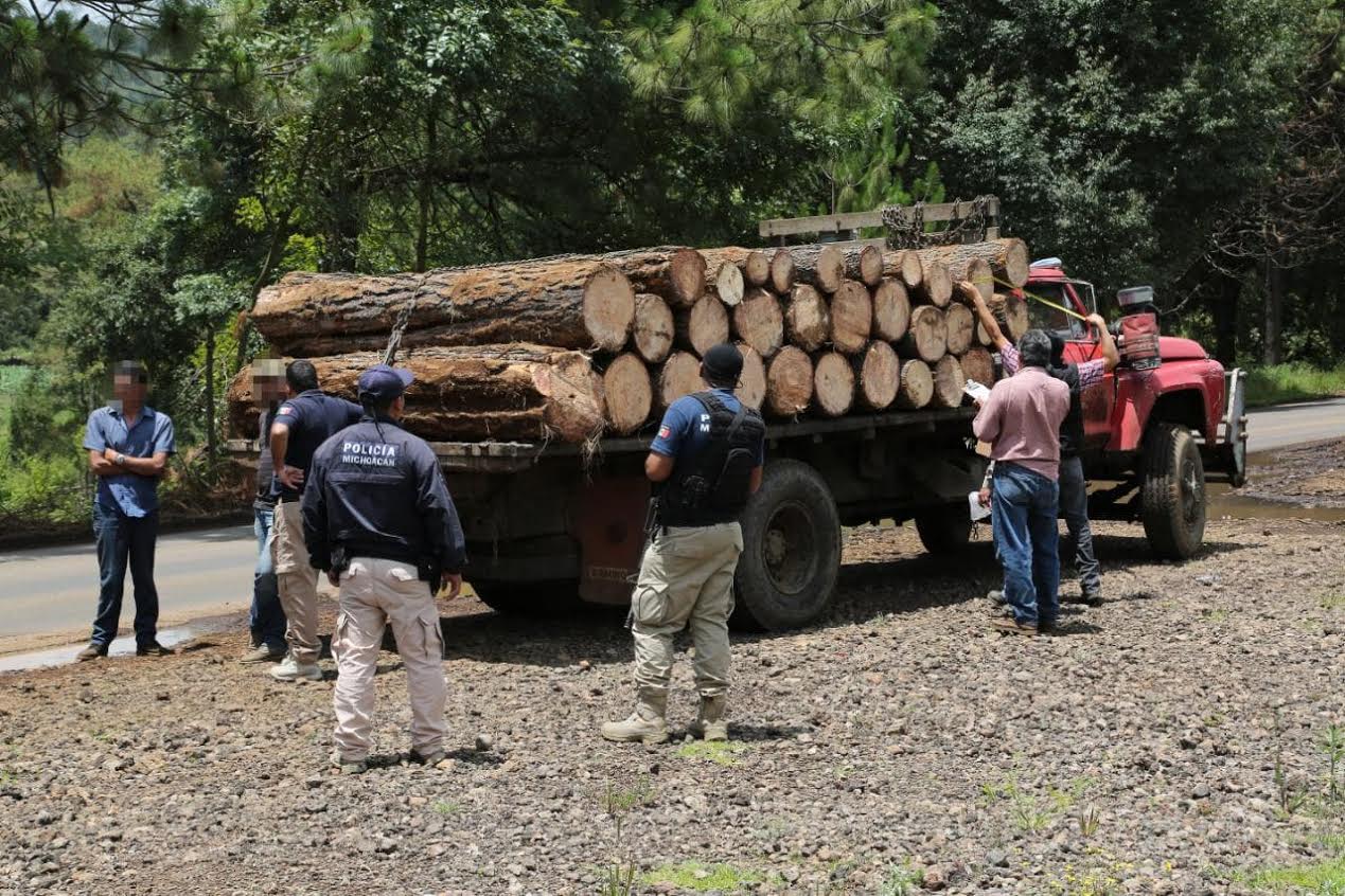 Decomisó Unidad Ambiental, mil 719 rollos de madera en el 2018 Decomisó Unidad Ambiental, mil 719 rollos de madera en el 2018