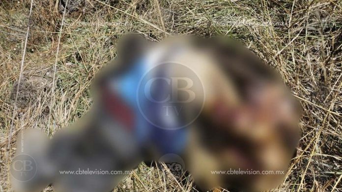 Descubren dos cadáveres en estado de descomposición en paraje de Pátzcuaro