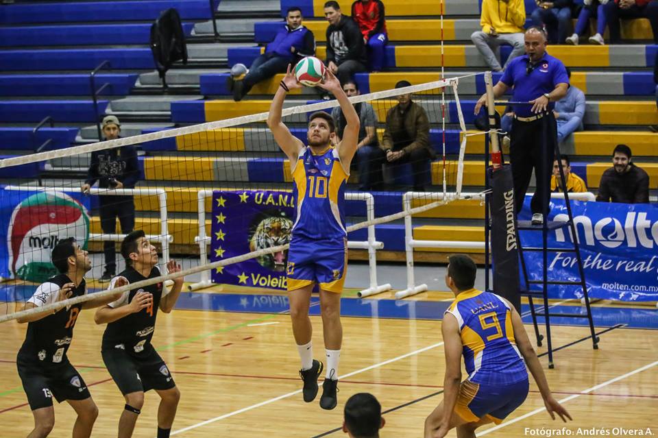 Los Tigres de la UANL le abollaron la corona al Campeón Tapatíos