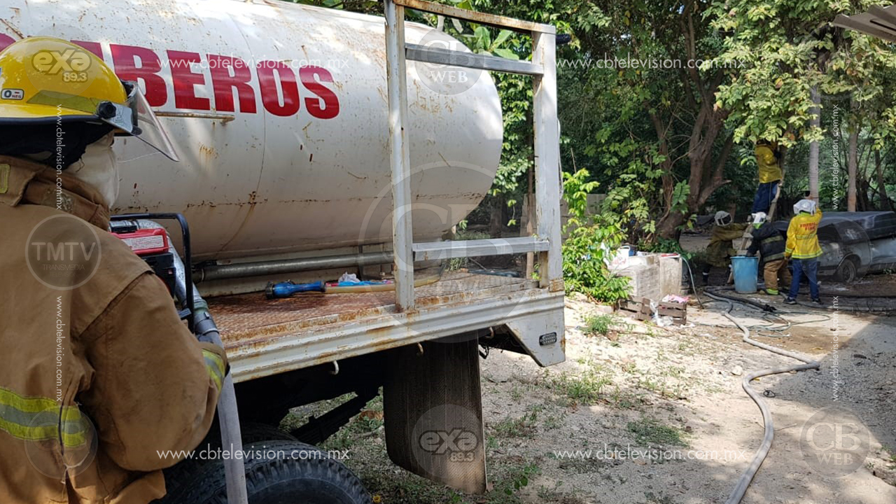 Con ayuda de fuego bomberos de Lázaro Cárdenas eliminaron enjambre de abejas