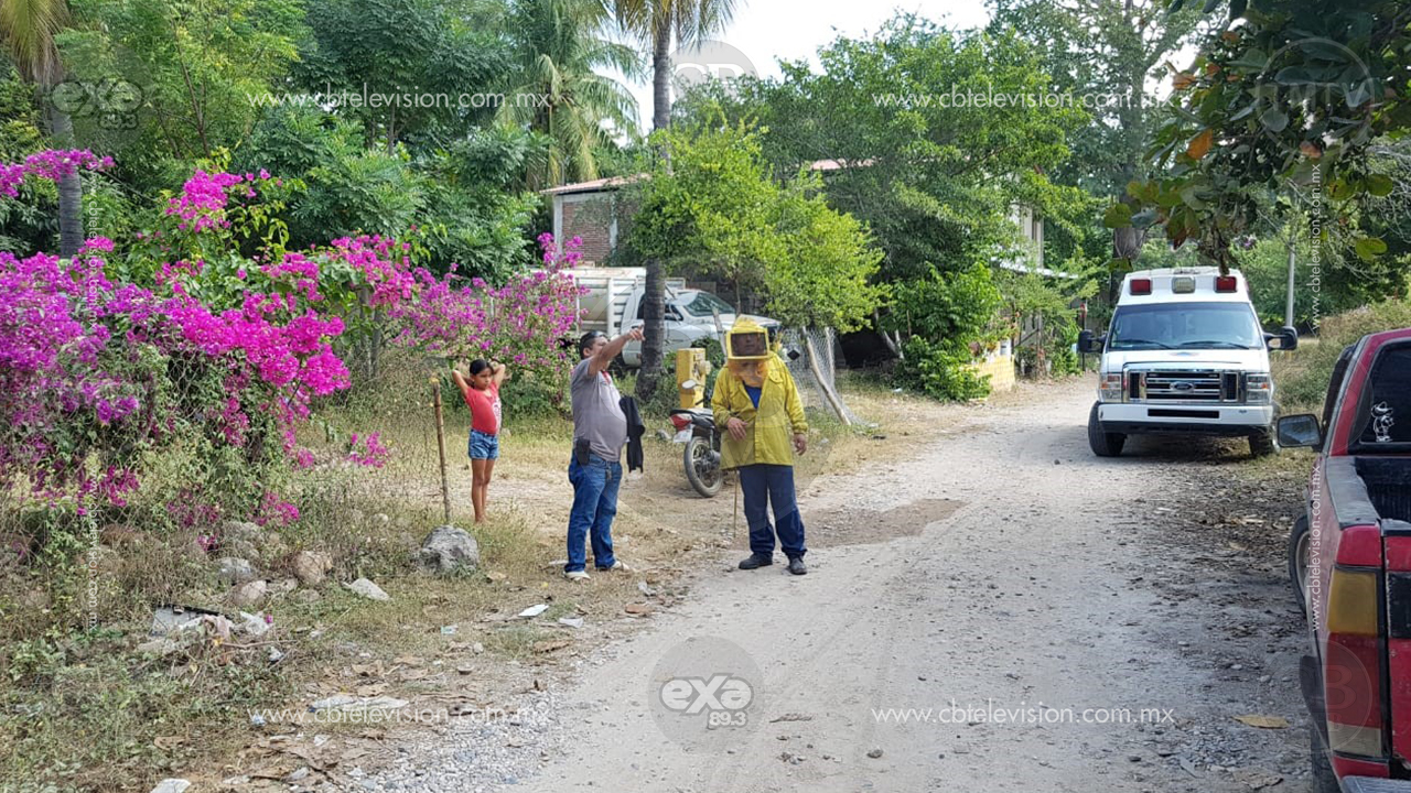 Con ayuda de fuego bomberos de Lázaro Cárdenas eliminaron enjambre de abejas