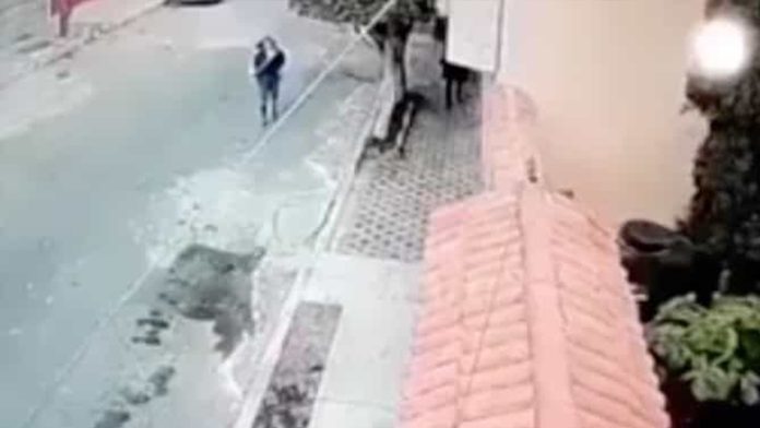 Mujeres se unen para enfrentar y hacer huir a ladrones