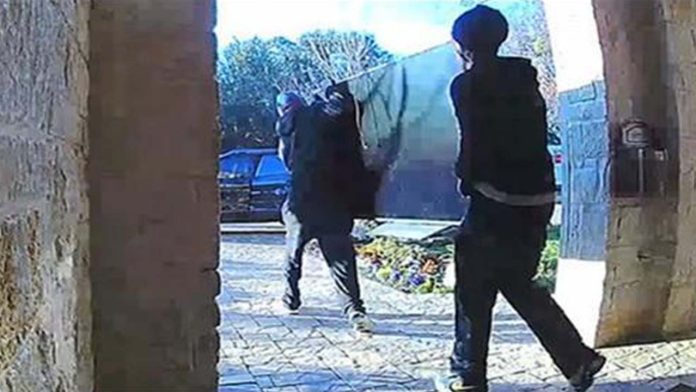 Video: Ladrones intentan robar televisor y lo regresar por no caber en el coche