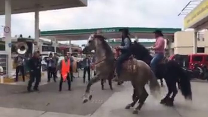 Video: Ahora en Guanajuato, con caballos bailadores y banda esperan la gasolina