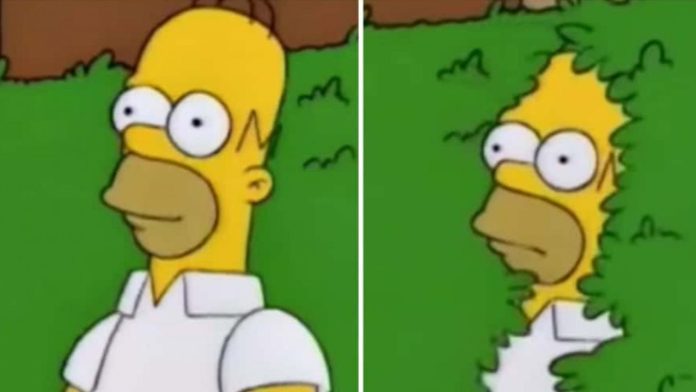 Homero Simpson envía GIF de su famoso meme y las redes estallan