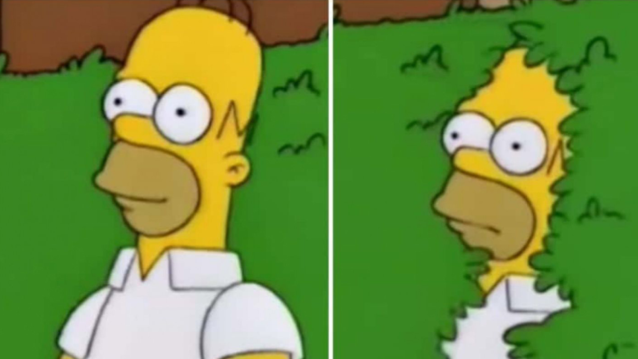 Homero Simpson envía GIF de su famoso meme y las redes estallan Homero Simpson envía GIF de su famoso meme y las redes estallan