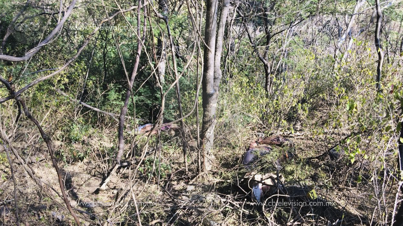 Localizan dos cuerpos sin vida al fondo de una Barranca