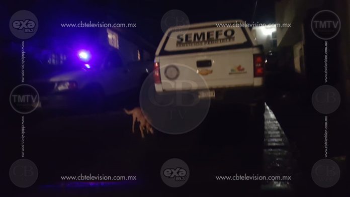 Con huellas de tortura encuentran tres cuerpos en Uruapan