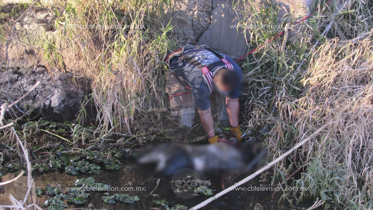 Encuentran un muerto en canal de riego de Tarimbaro