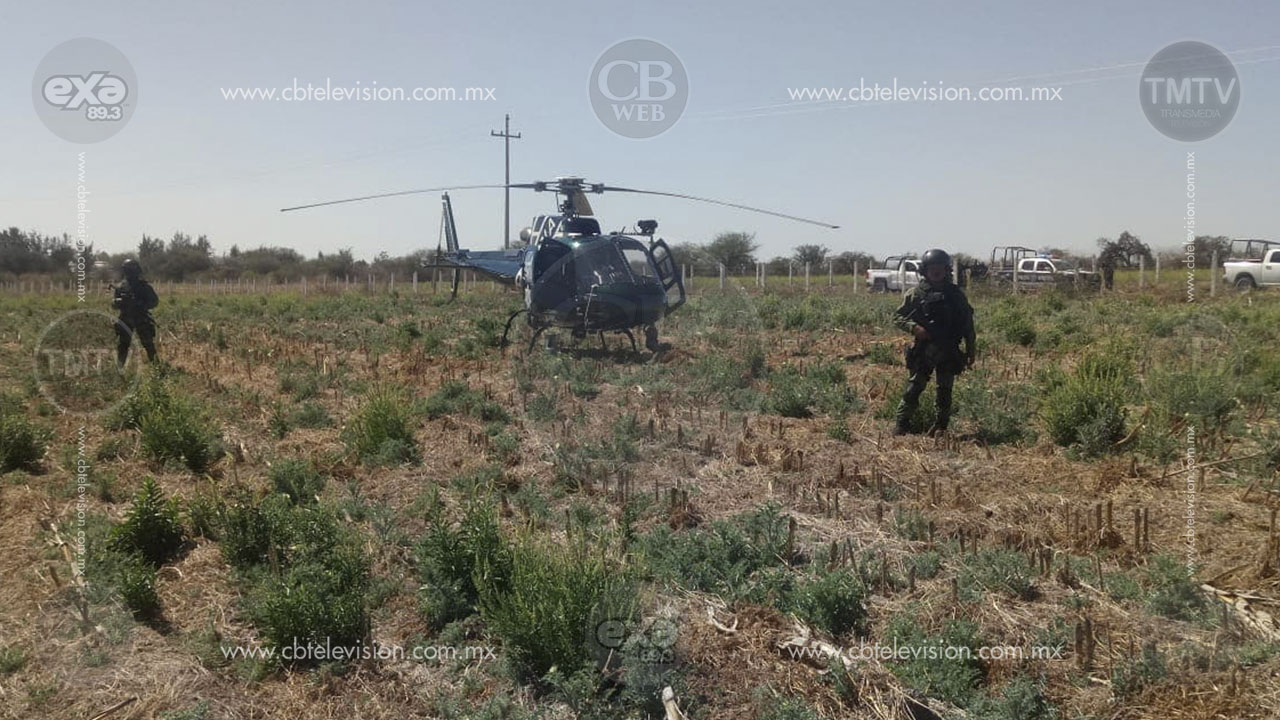 Balacera entre soldados y sujetos armados deja saldo de ocho personas detenidas en Jalostotitlán