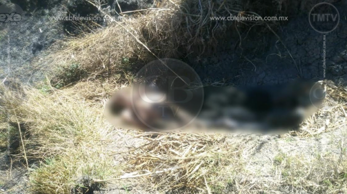 Encuentran cadaver de anciano en Tarímbaro 