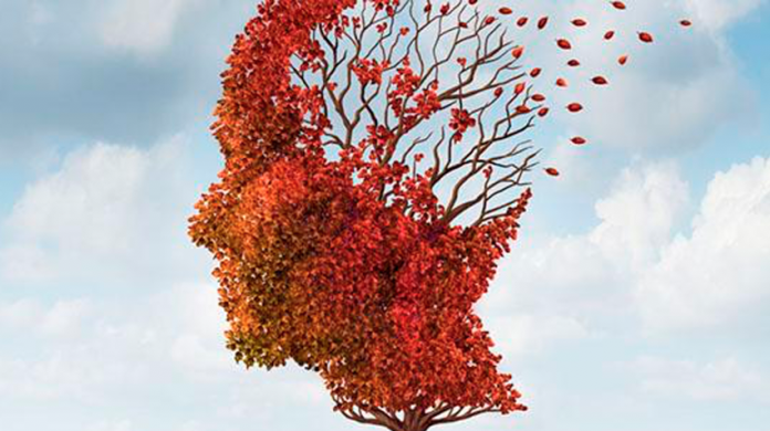 Actividades que ejercitan la memoria reducen riesgo de Alzheimer