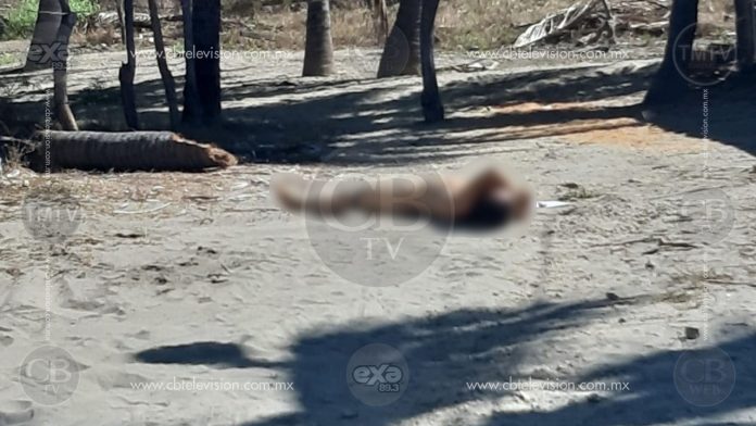 Dejan cuerpo de hombre junto a mensaje en Lázaro Cárdenas 