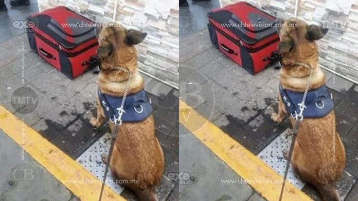 Encuentran maleta con 